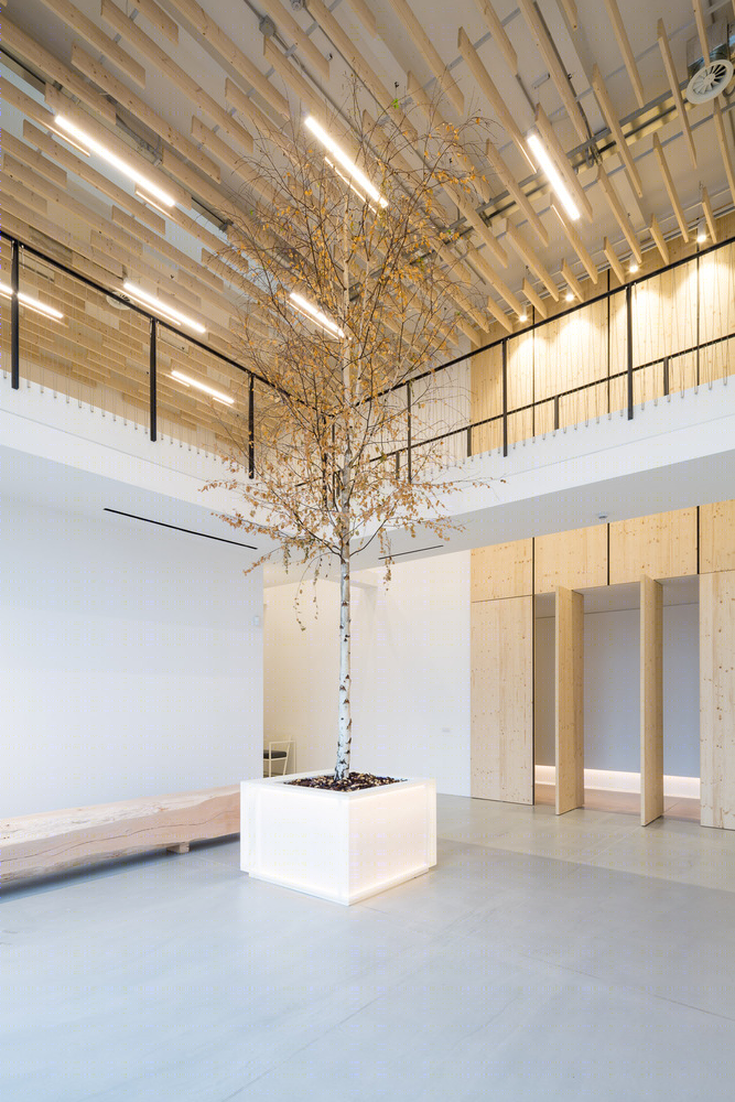 意大利陶瓷公司总部,绿色办公空间与自然融合-38