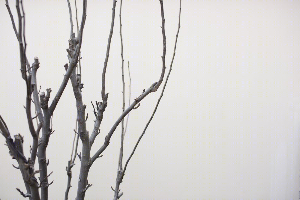 杭州西溪壹树精品酒店-8