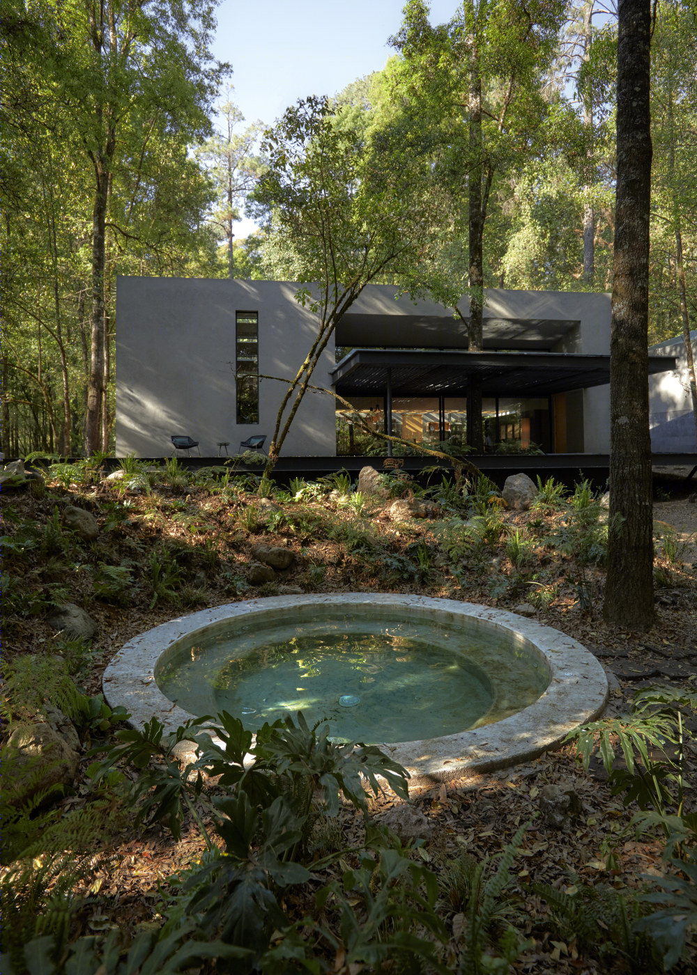 别墅丨墨西哥森林小屋 San Simón(2019)(Weber Arquitectos)设计-37