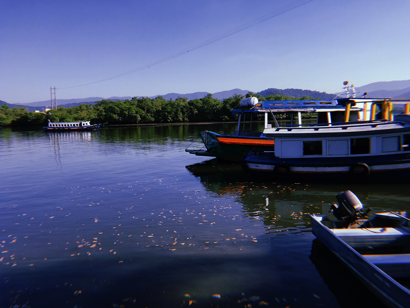 Ilha Diana - Santos, SP, Brasil-6