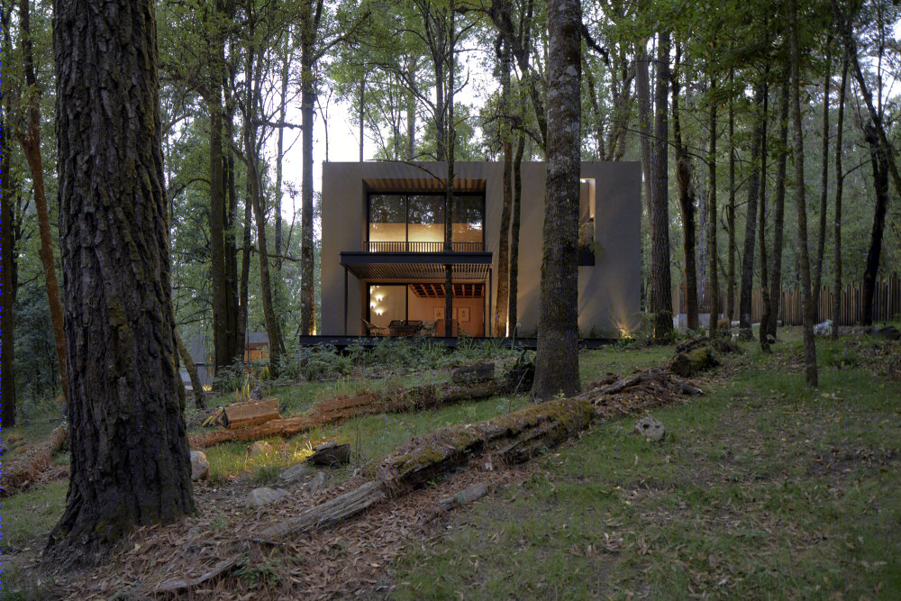 别墅丨墨西哥森林小屋 San Simón(2019)(Weber Arquitectos)设计-41