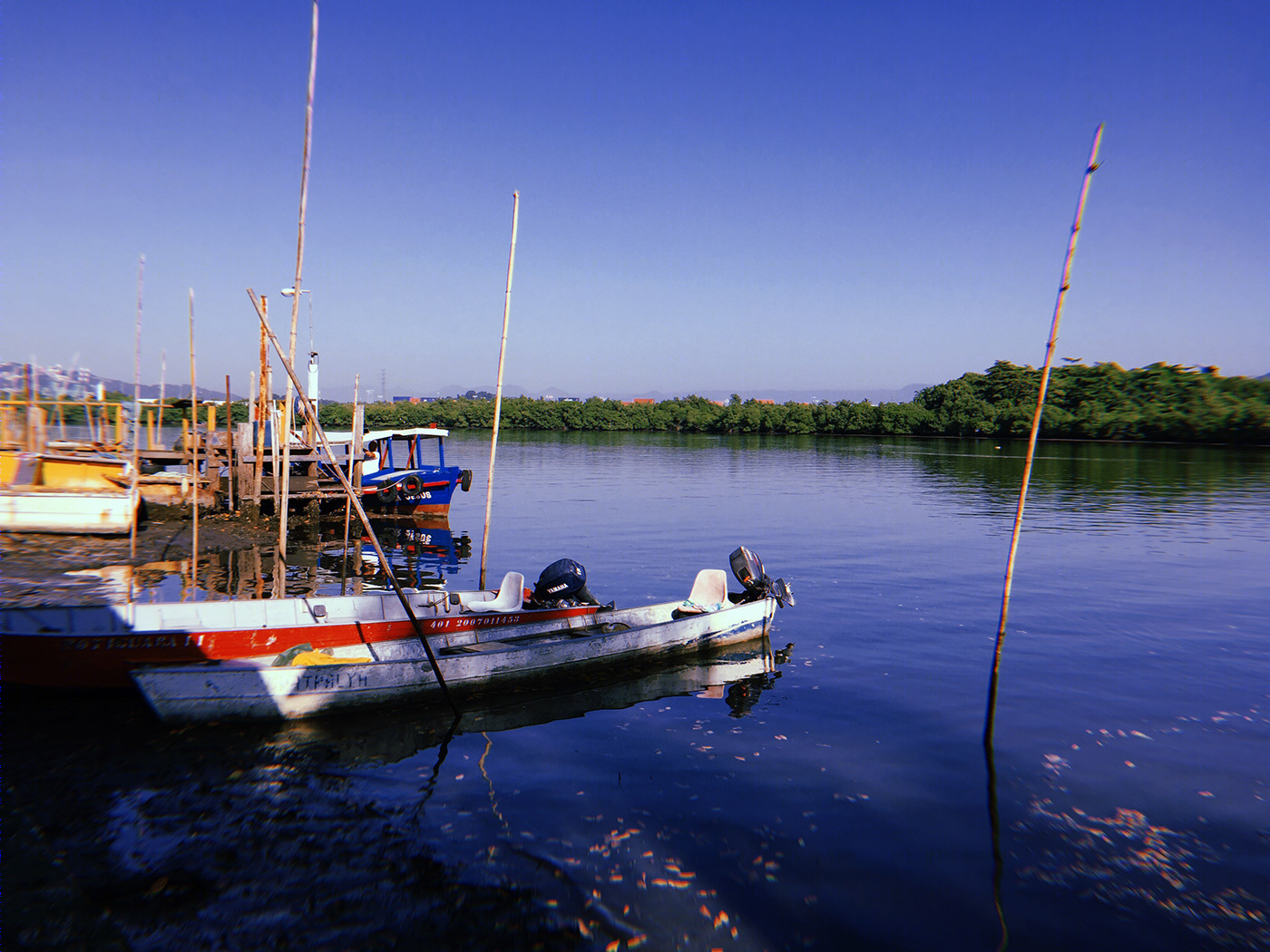 Ilha Diana - Santos, SP, Brasil-7