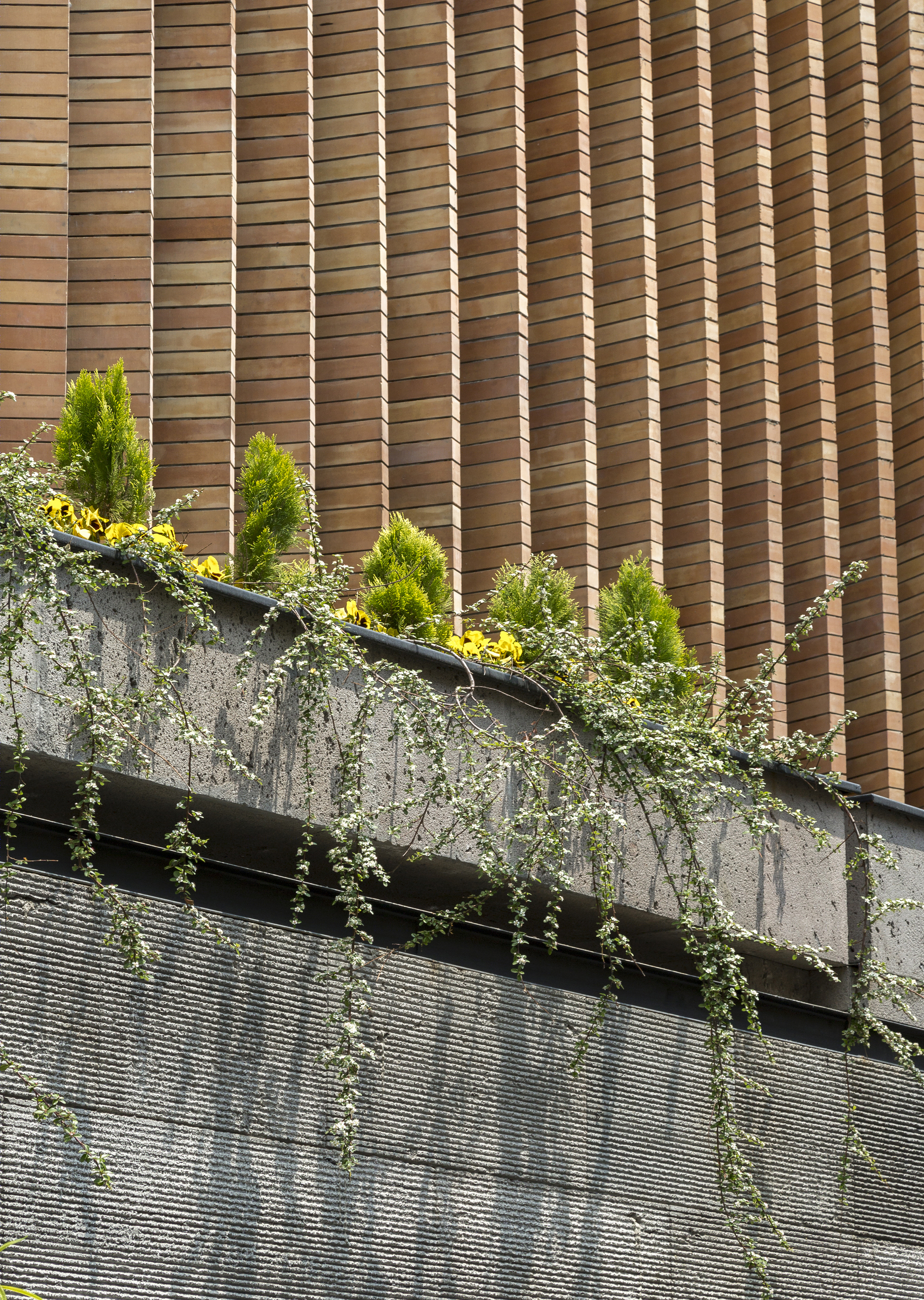 伊朗 Tehran SABA 办公建筑 - 有机环境与城市互动的融合-19