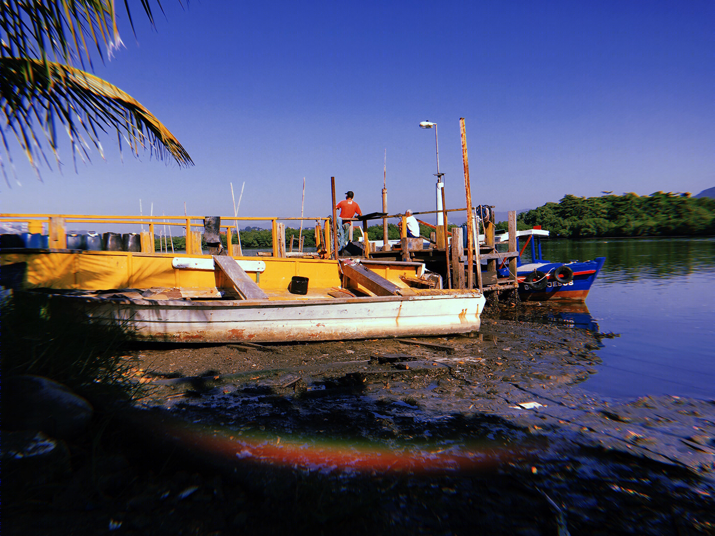Ilha Diana - Santos, SP, Brasil-8