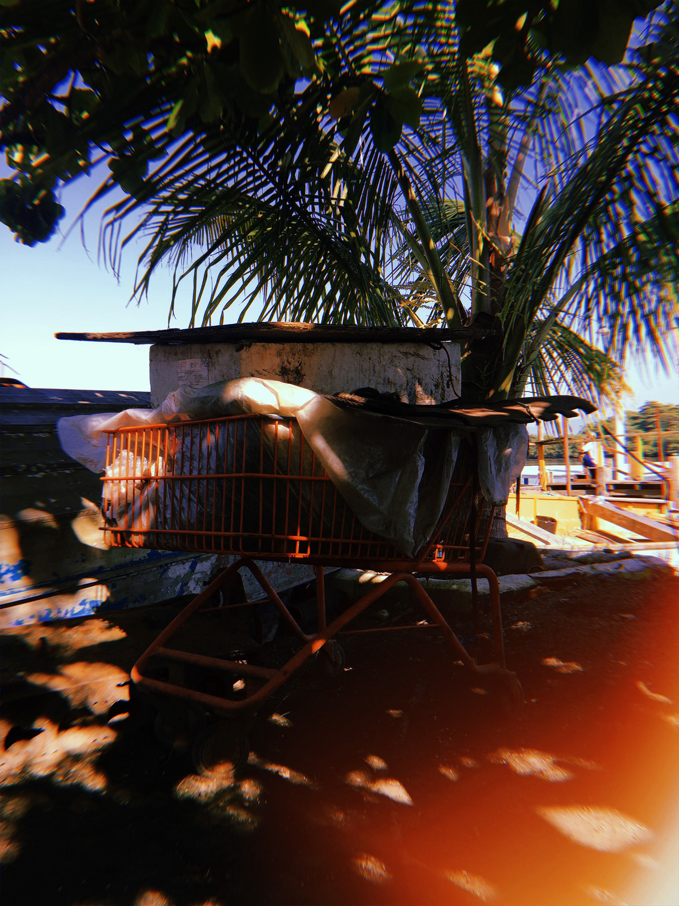 Ilha Diana - Santos, SP, Brasil-9