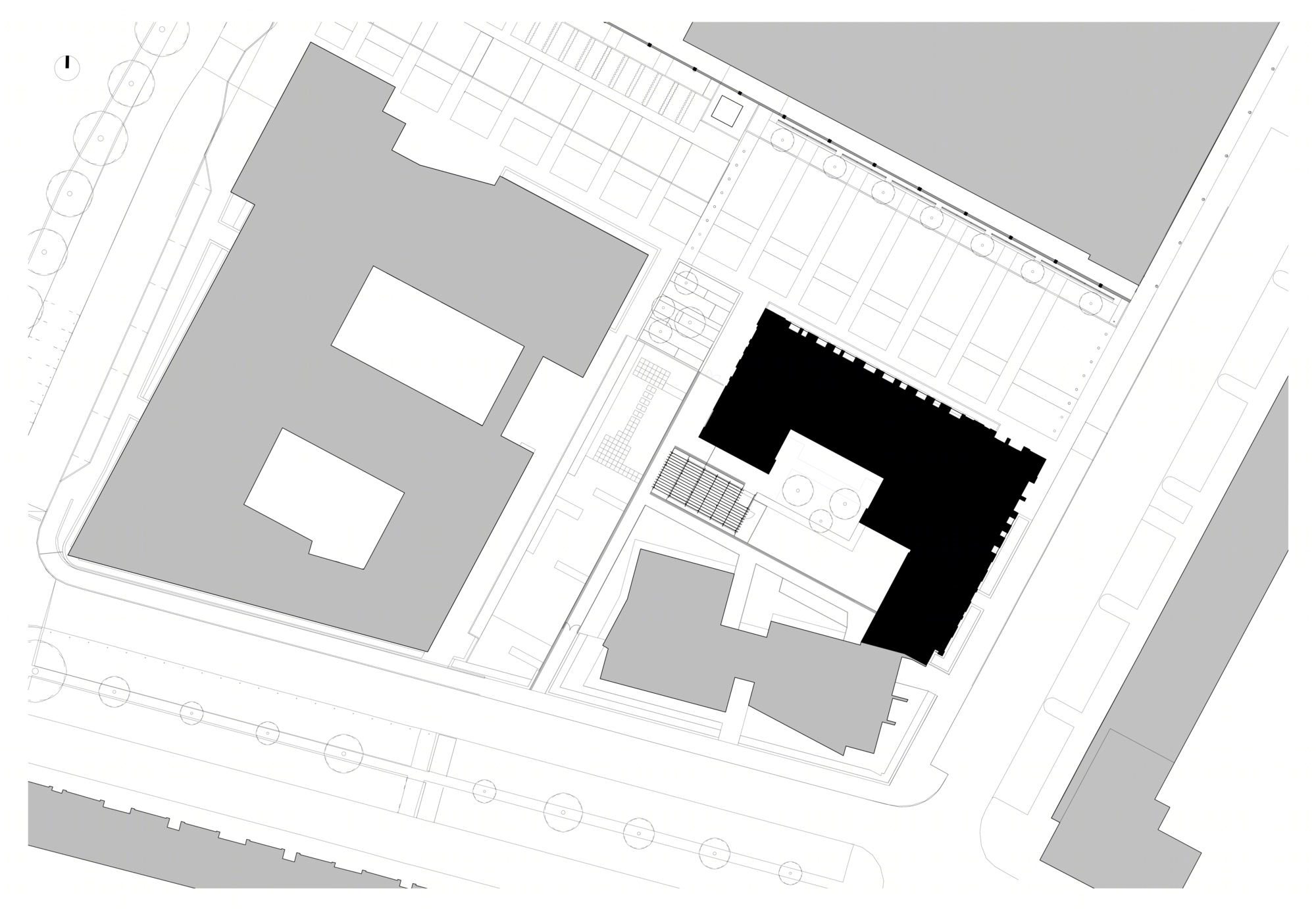 恩加哈办事处-29