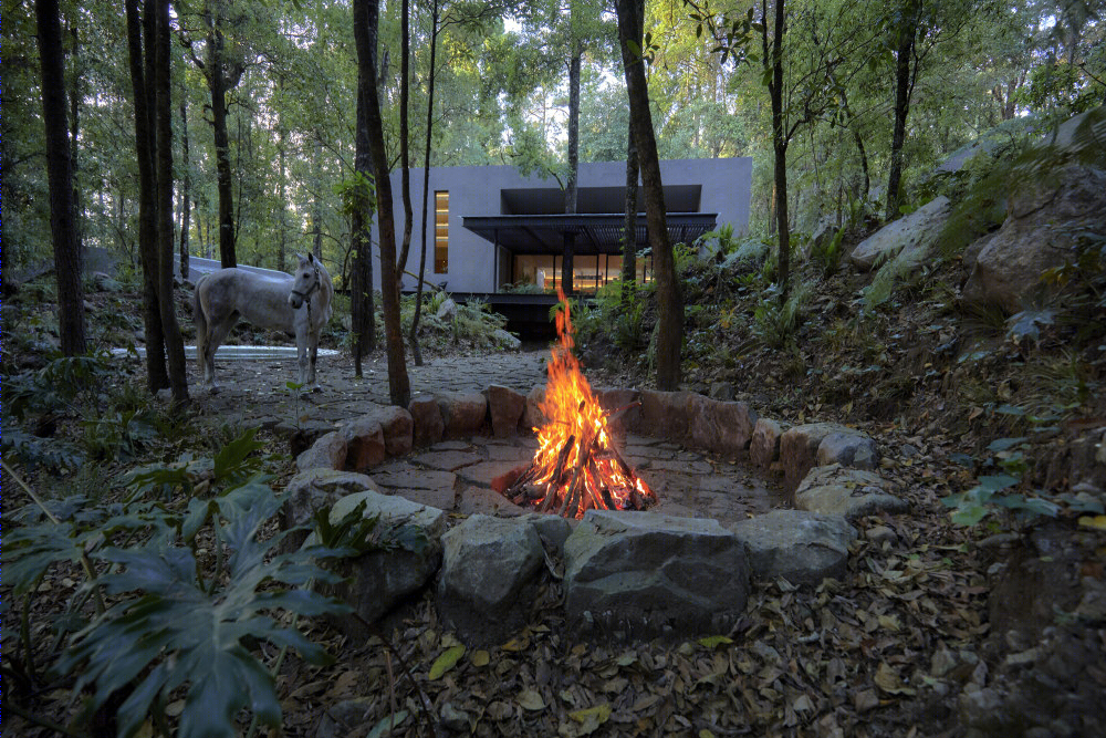 别墅丨墨西哥森林小屋 San Simón(2019)(Weber Arquitectos)设计-51