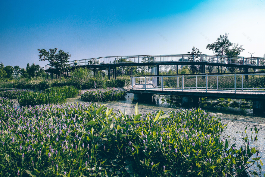 廖家沟城市中央公园-57