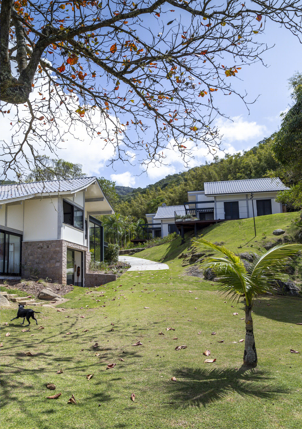 巴西 Sabbia 别墅 | 海滨现代与自然的和谐融合-20