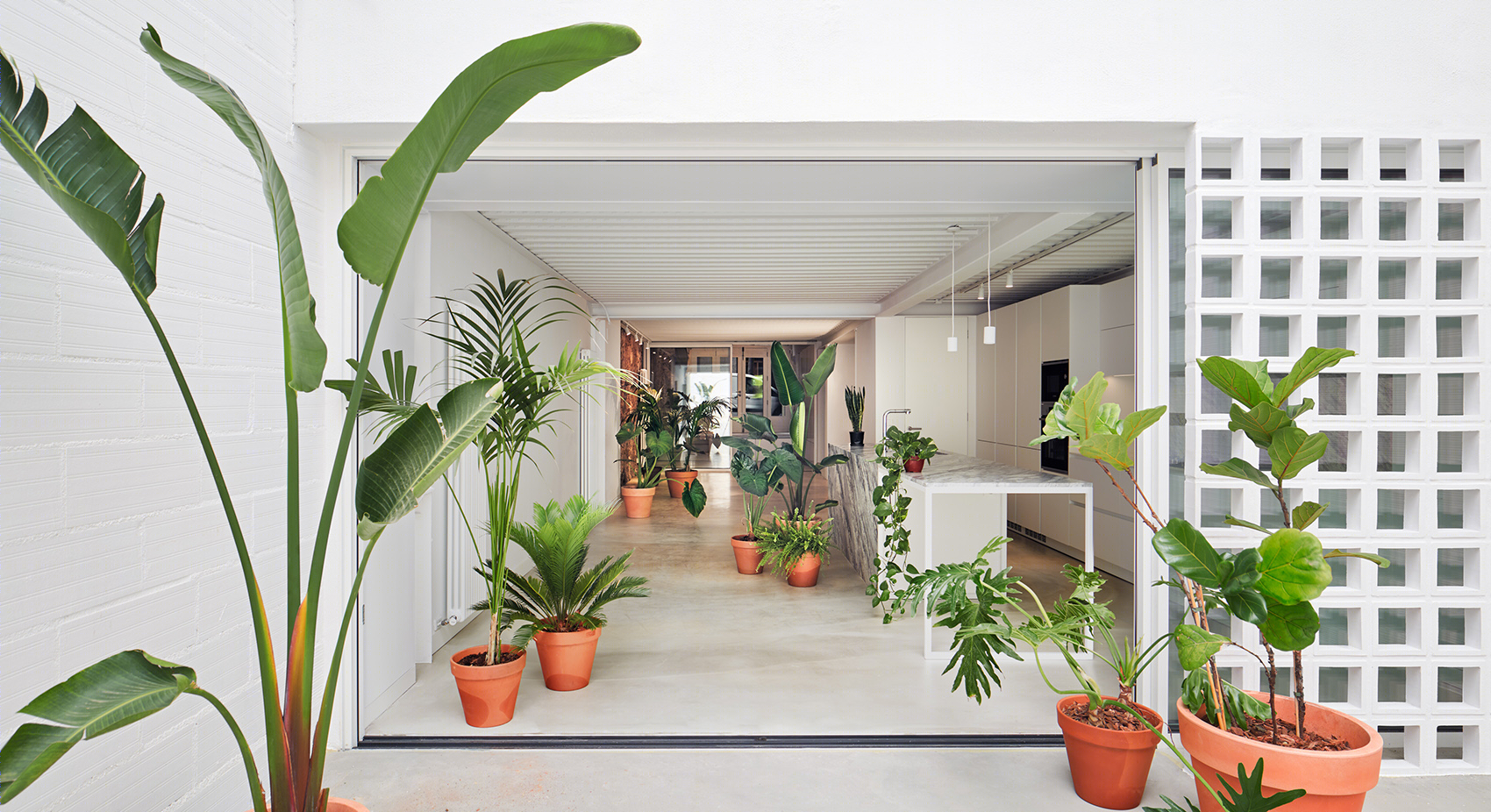 隔墙间的住宅，巴塞罗那/将工业厂房改造成城市绿洲-22