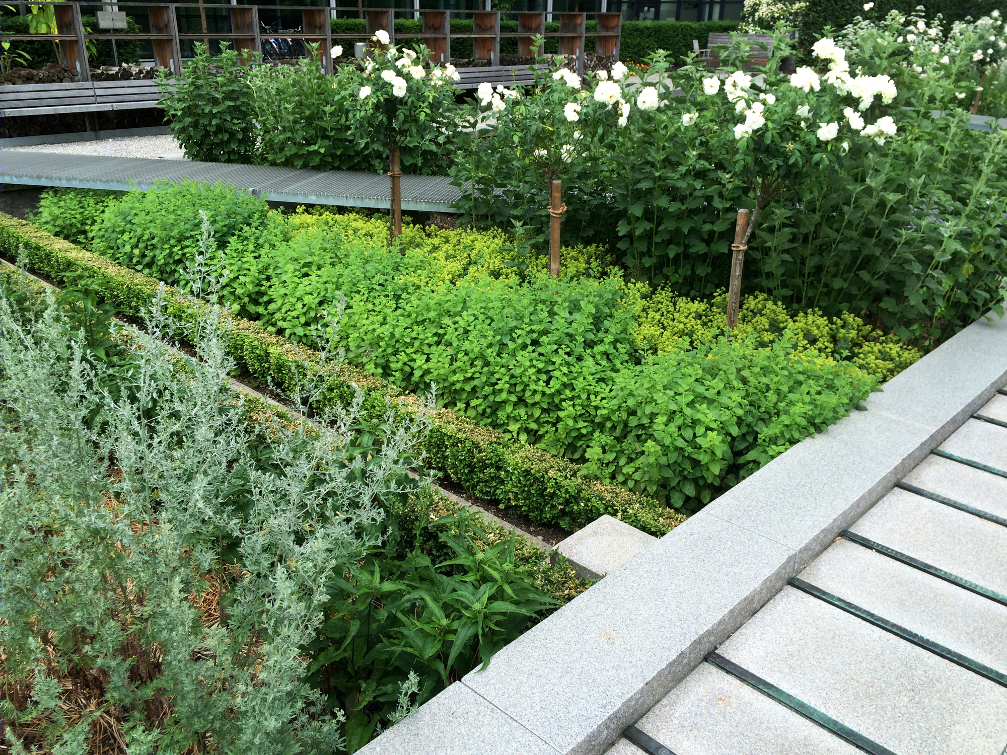 诺华药用植物园-31
