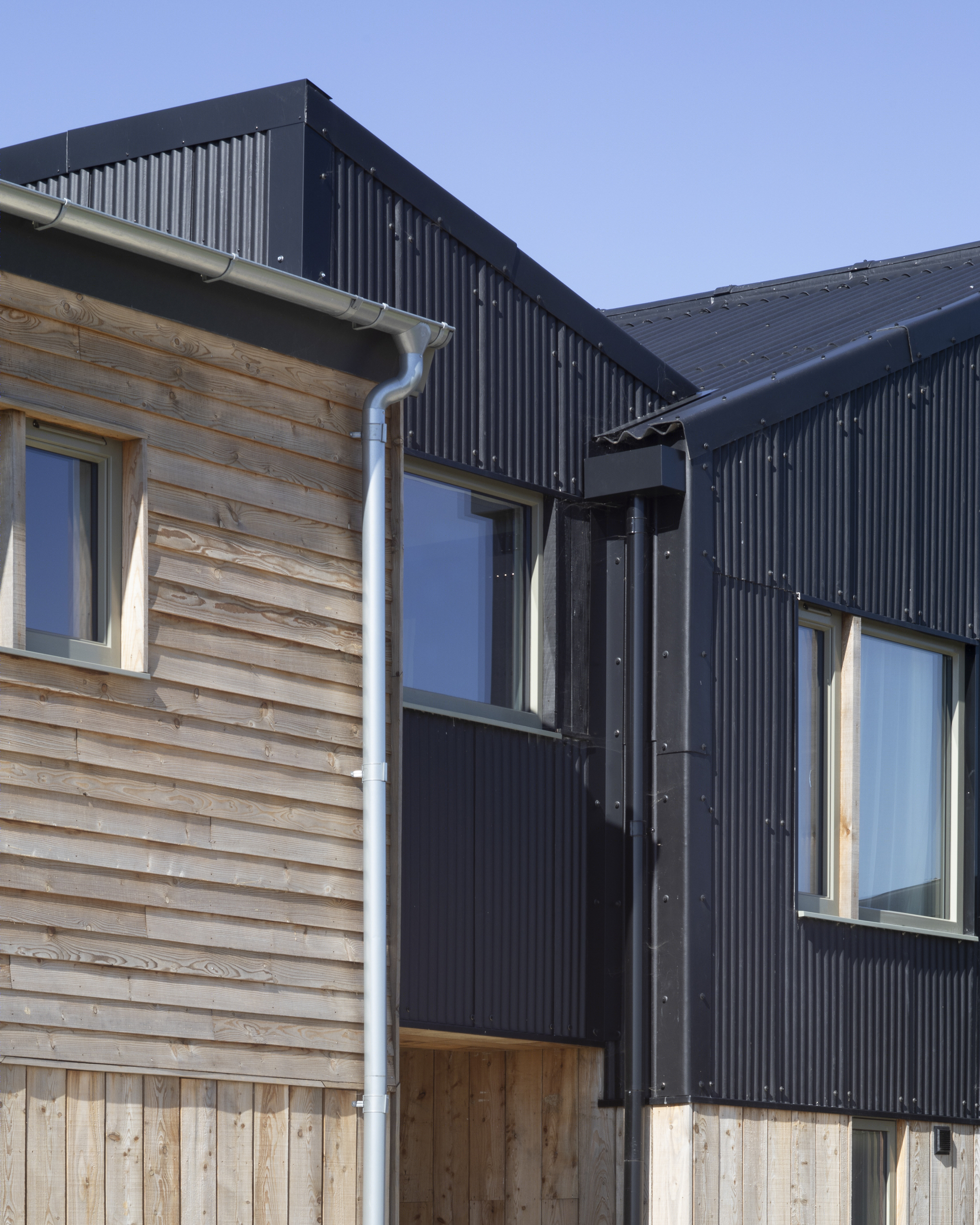 蒂林厄姆酒庄-13