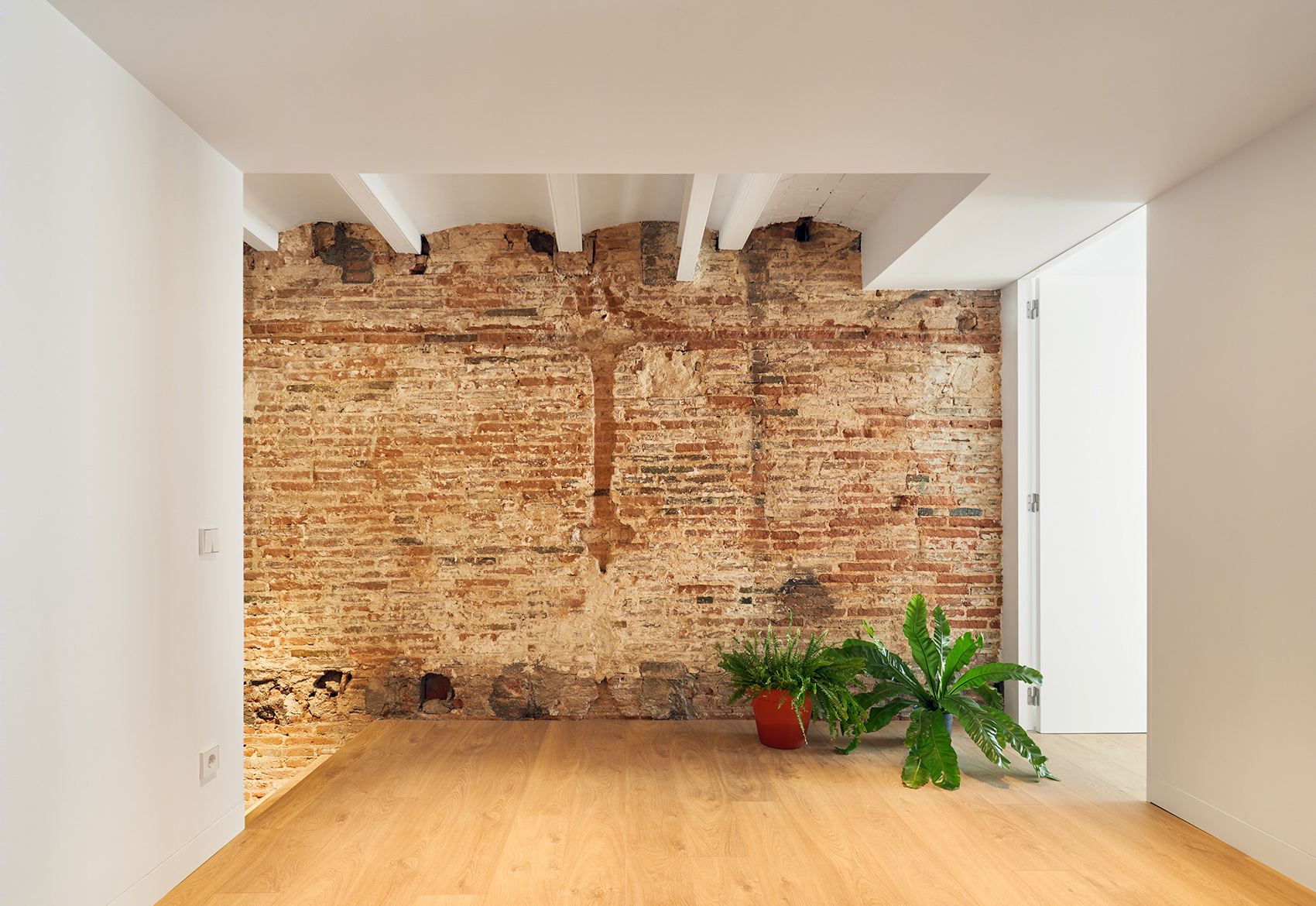 隔墙间的住宅，巴塞罗那/将工业厂房改造成城市绿洲-33