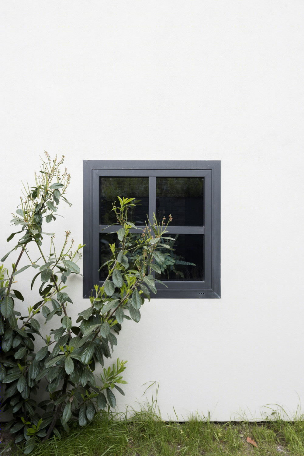 马丁斯科新作 | V 号屋（House V）-25