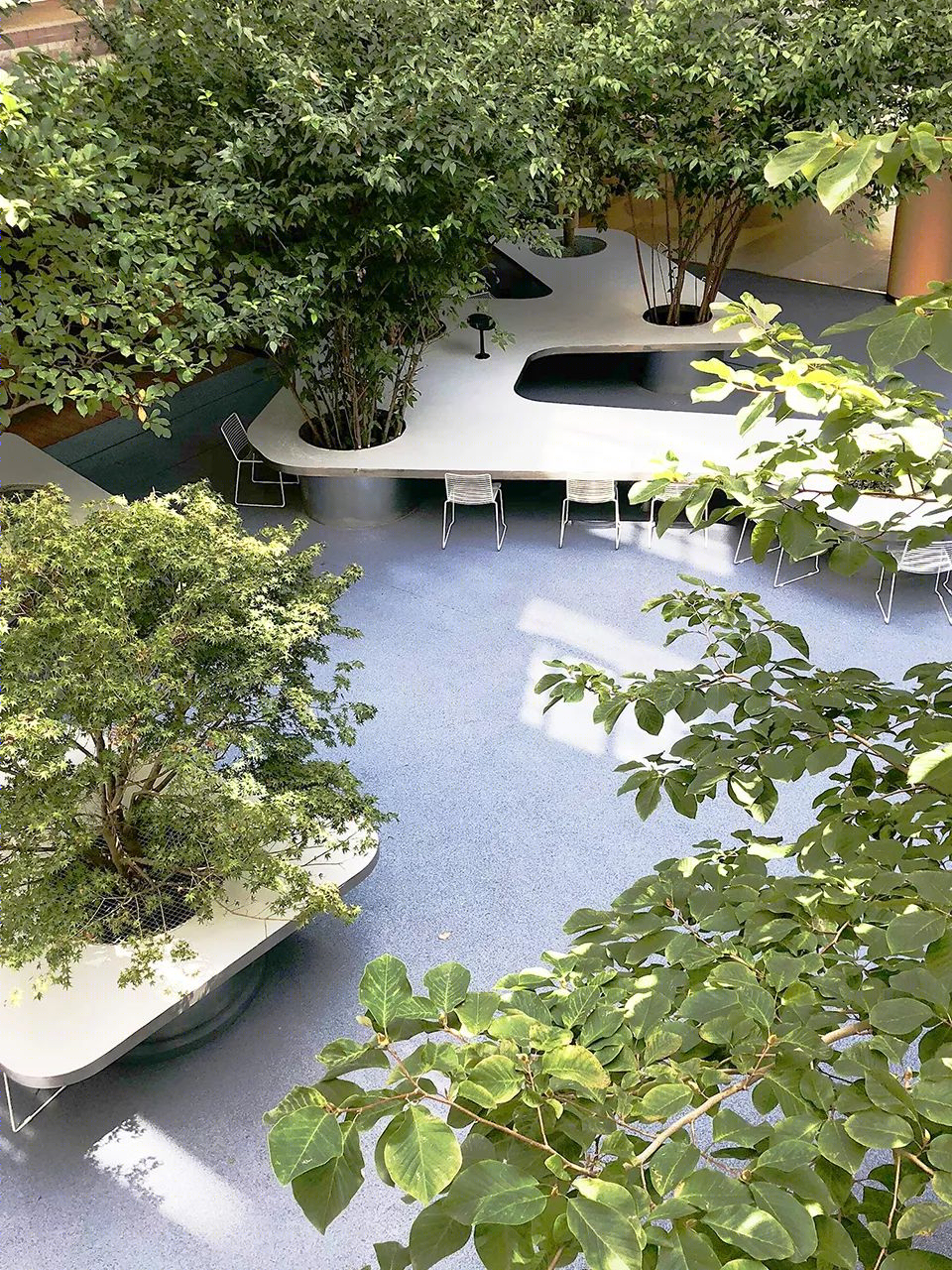 上海市实验学校中心庭院改造丨大观(上海大观景观设计有限公司)-19