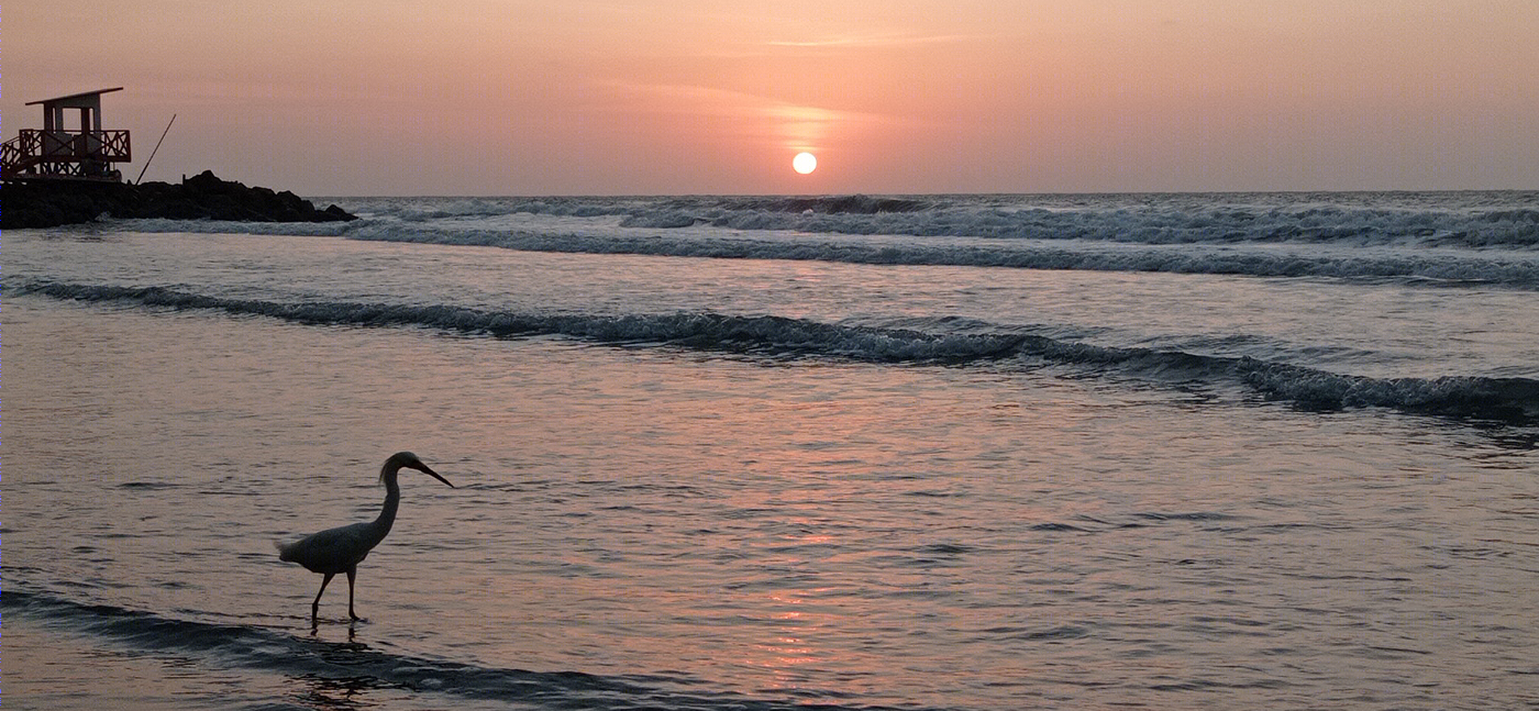 One day in Cartagena-8