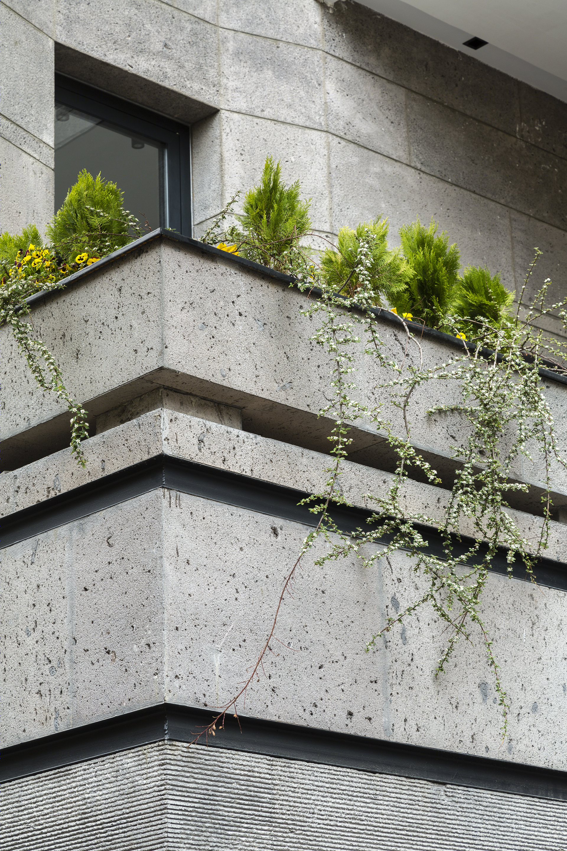 伊朗 Tehran SABA 办公建筑 - 有机环境与城市互动的融合-33