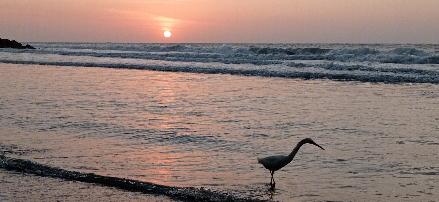 One day in Cartagena-9