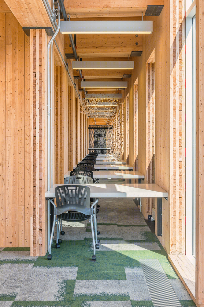 Laurentian大学的McEwen建筑学院-58