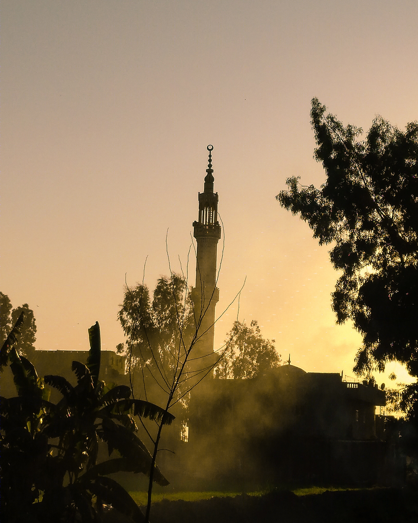 Mosques of Egypt-0