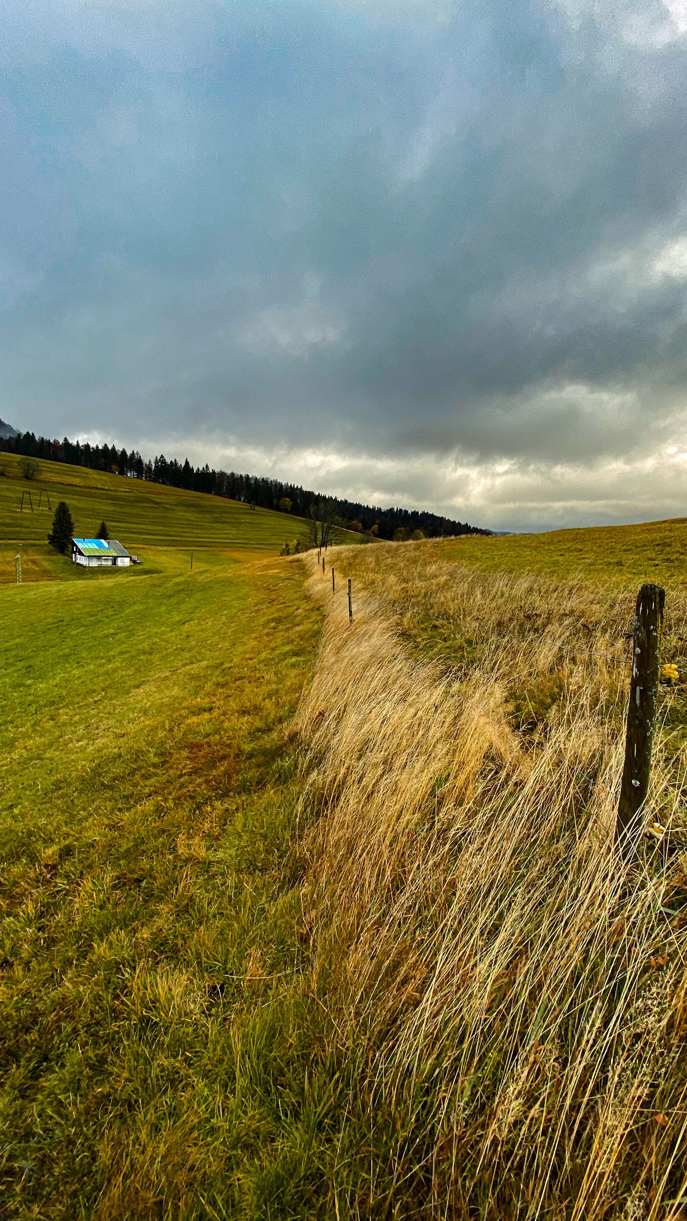 德国 Herrenschwand 别墅 | 自然与现代的完美融合-5