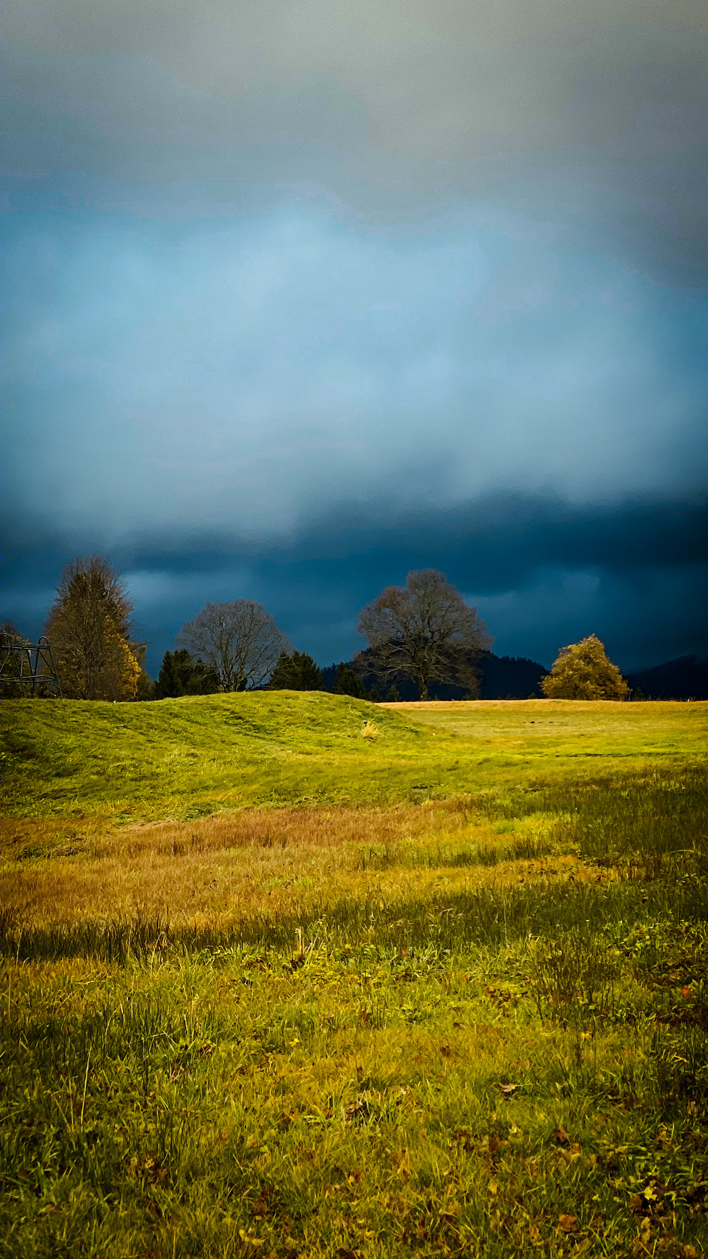 德国 Herrenschwand 别墅 | 自然与现代的完美融合-6