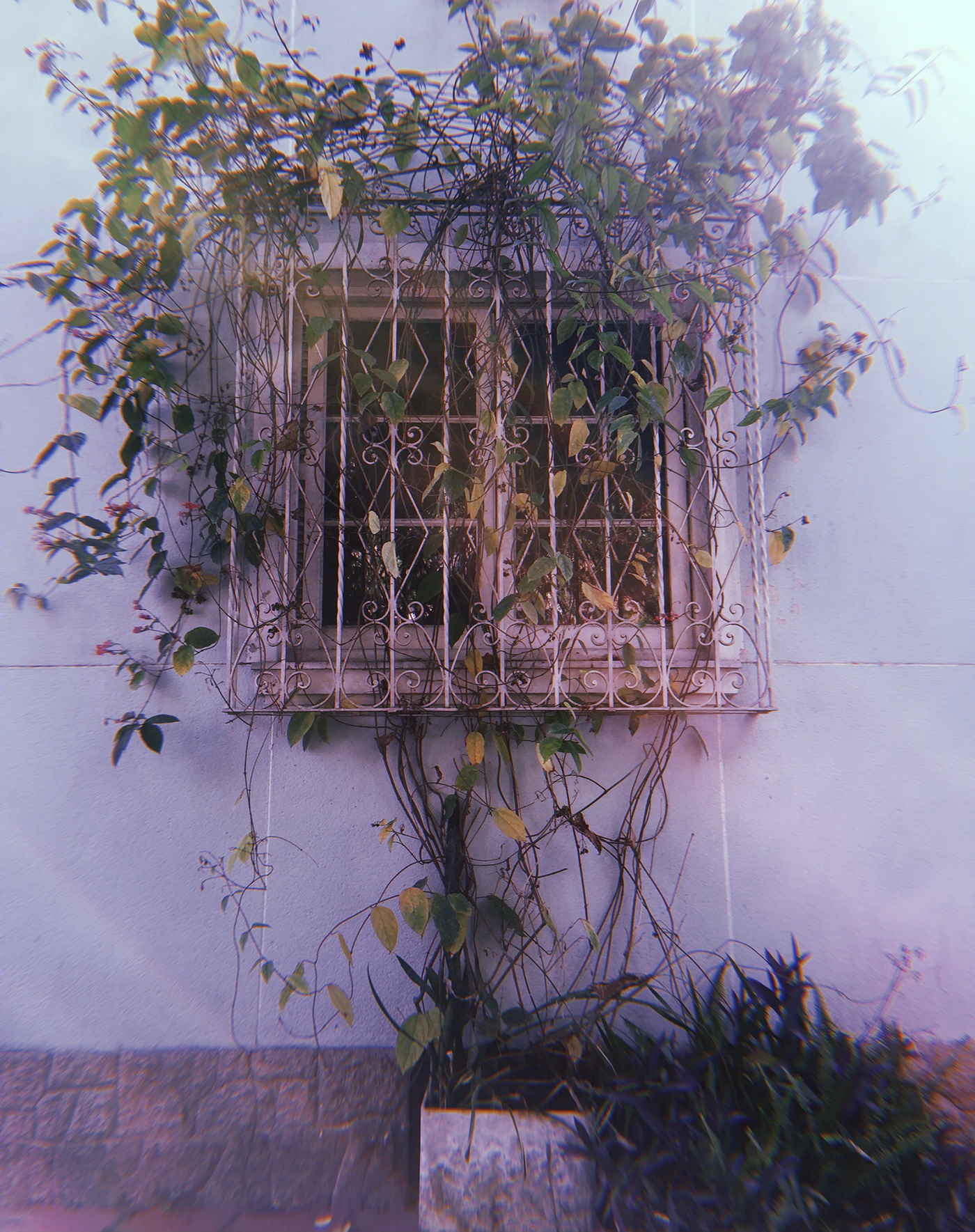 Anastasiya Gushchina丨公寓建筑丨Mistérios que se há por trás-8