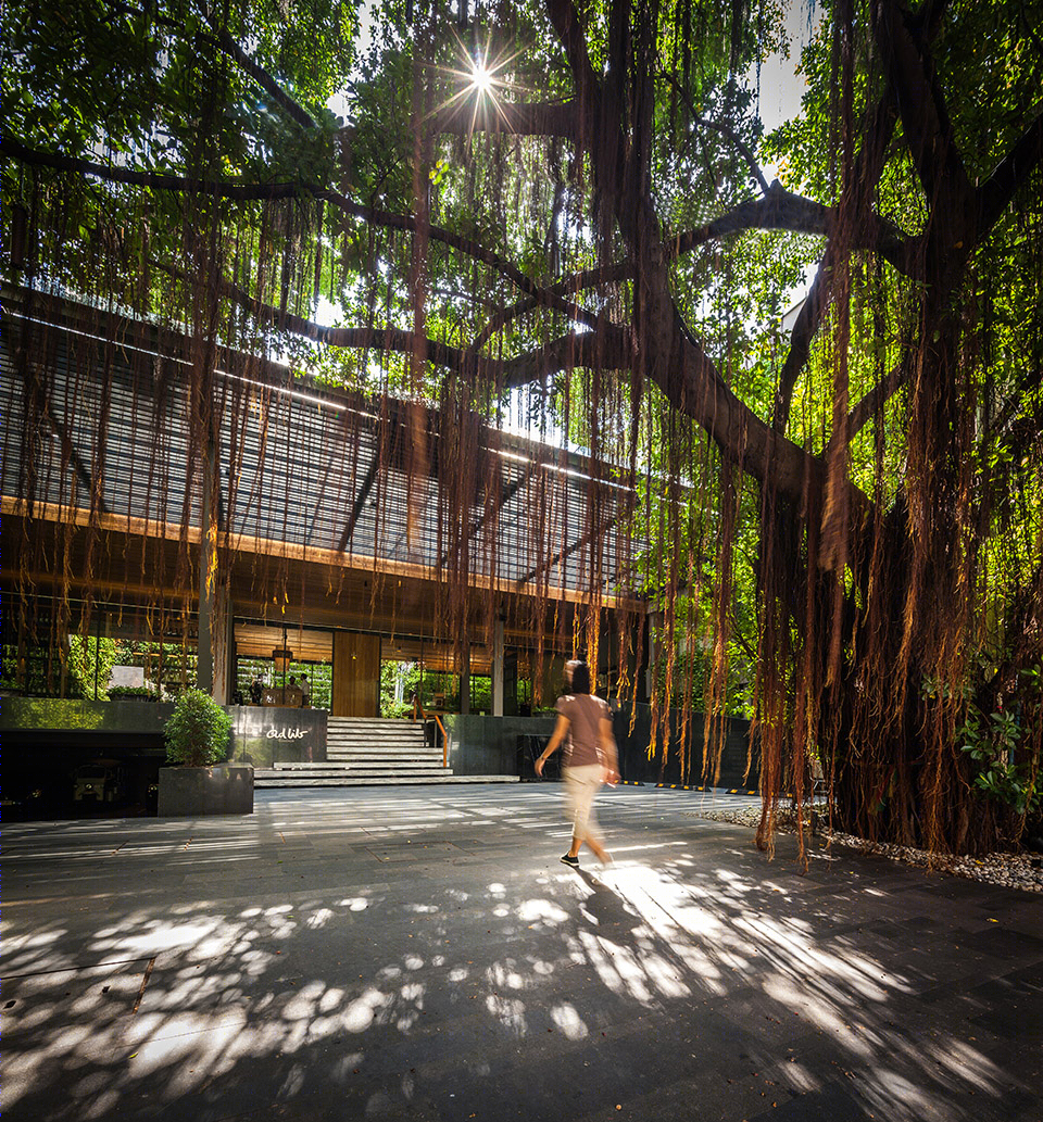 曼谷榕树下的清凉酒店-11