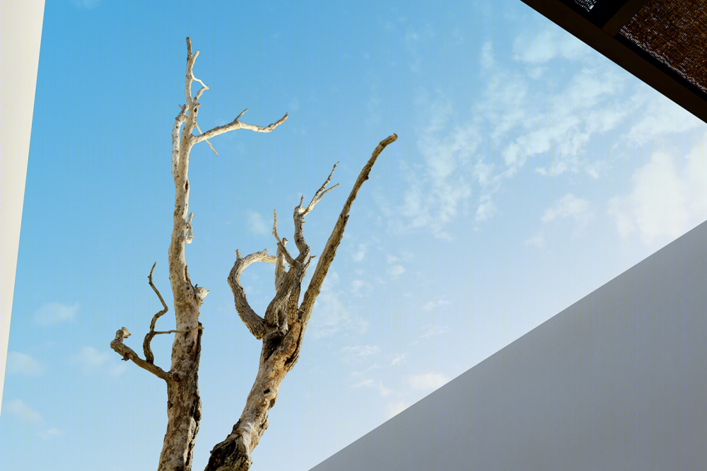 Aloni 餐厅 · 现代简约风尚的完美演绎-6