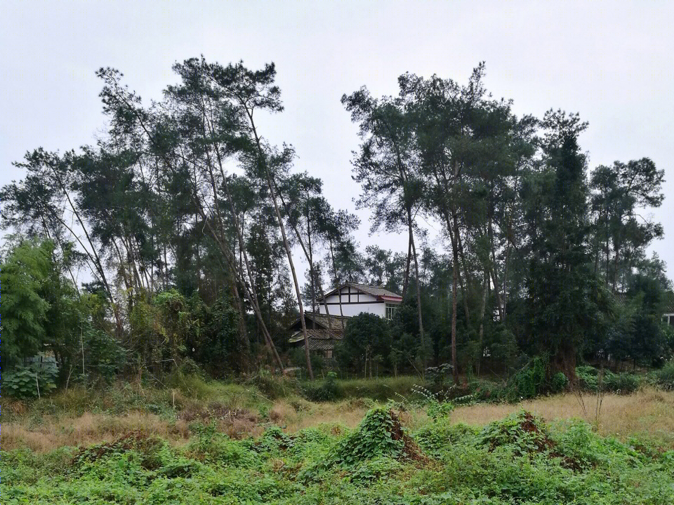 明庭乡土自然学校丨中国成都丨活泼泼地livil Architects-38