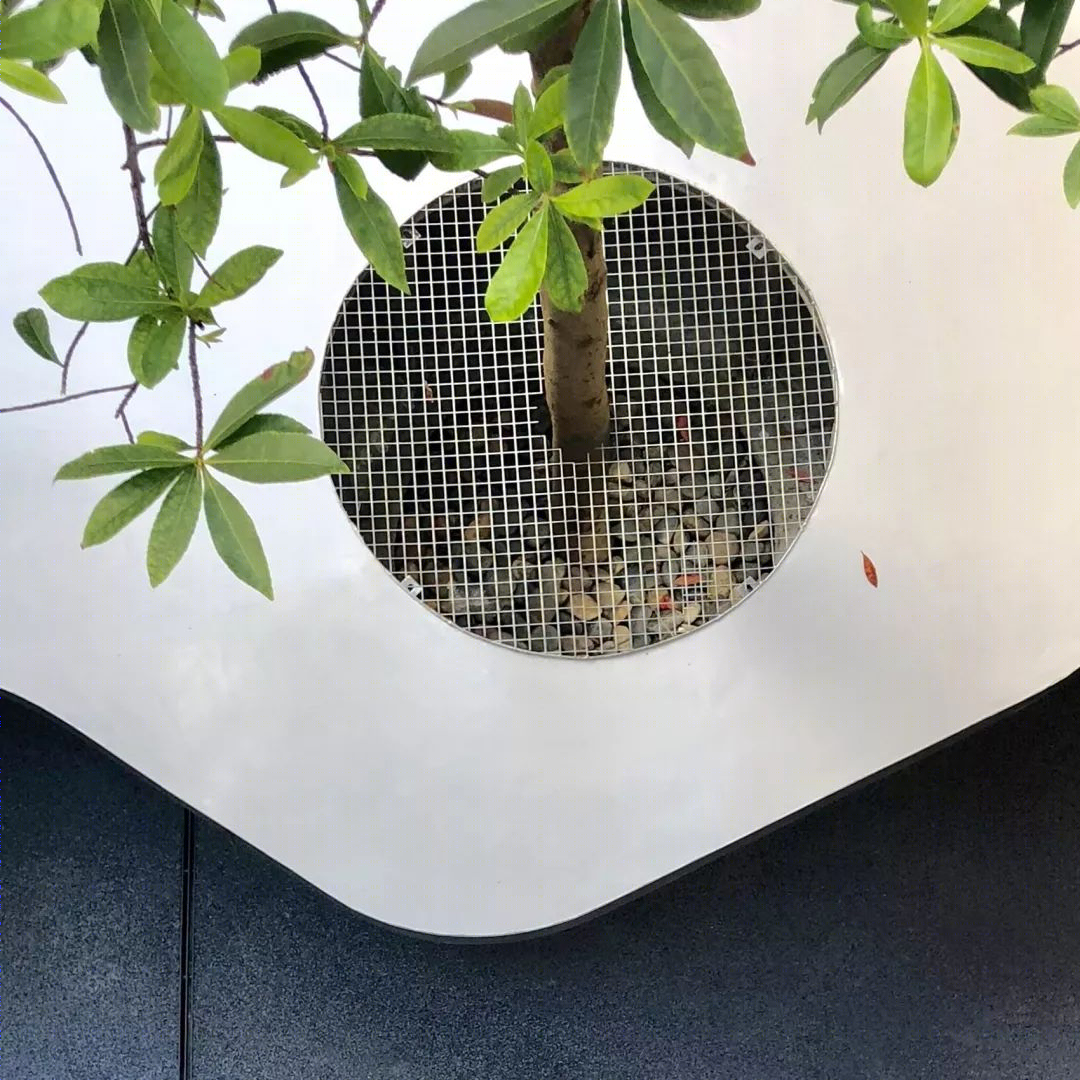 上海市实验学校中心庭院改造丨大观(上海大观景观设计有限公司)-26