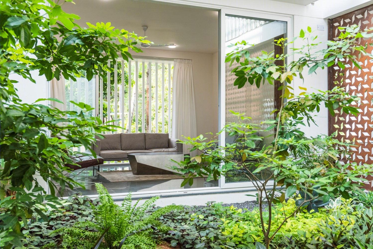 有组织的众议院（或：纪律严明的众议院）-55