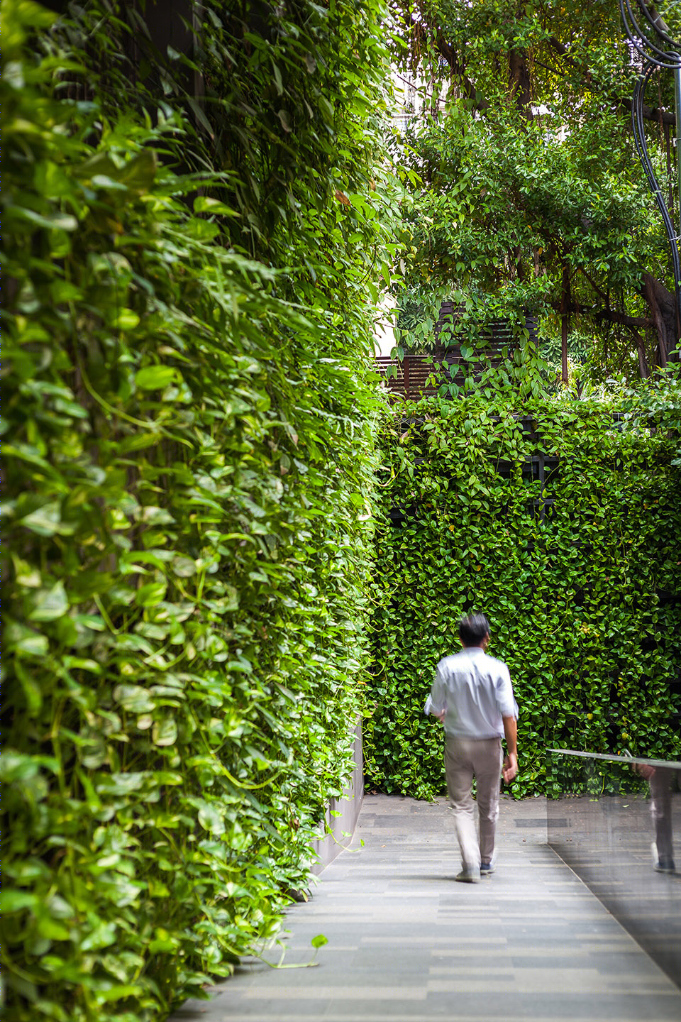 曼谷榕树下的清凉酒店-37