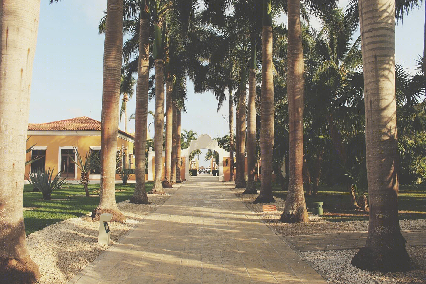 Dreams Tulum Resort & Spa-0