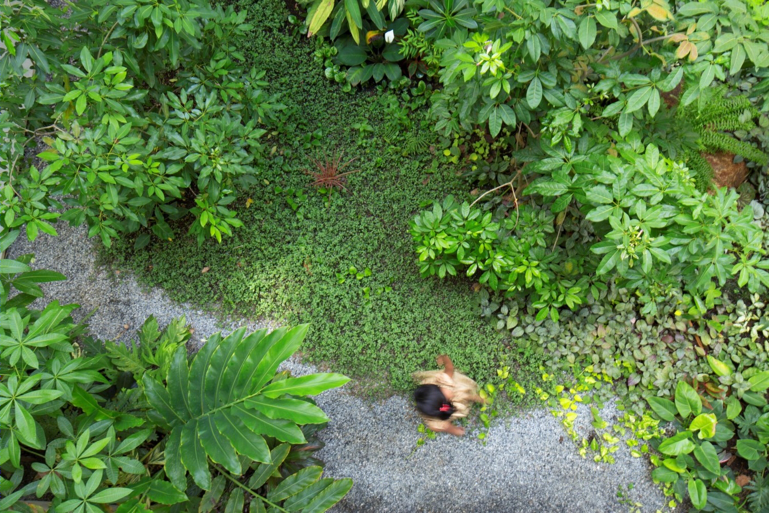 有组织的众议院(或:纪律严明的众议院)-70