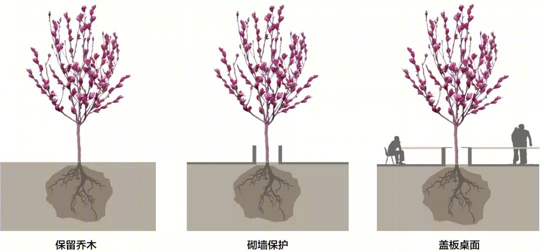 上海市实验学校中心庭院改造丨大观(上海大观景观设计有限公司)-57