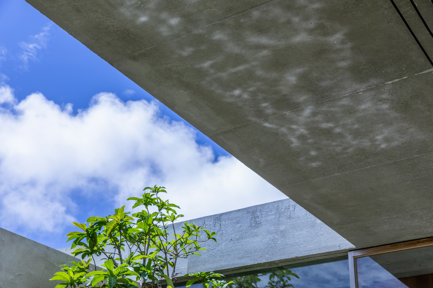 日本 Tamagusuku 住宅丨日本冲绳丨Studio Cochi Architects-12