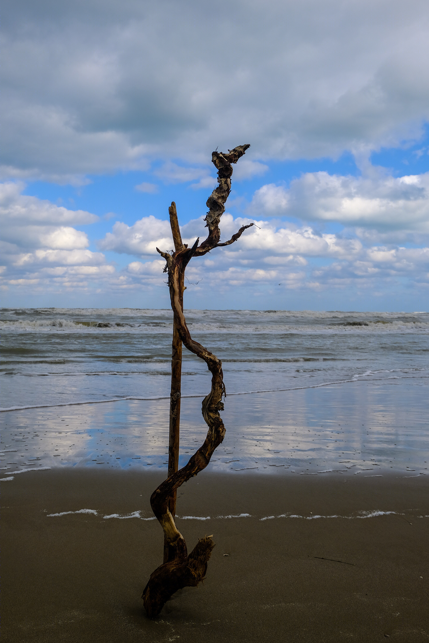 il mare d'inverno-2