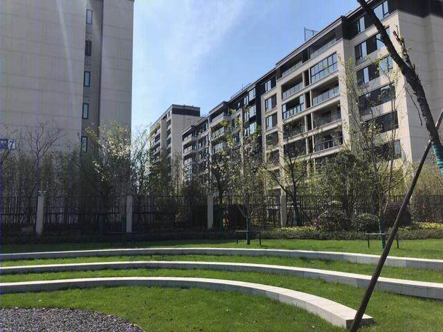 传统美学与现代演绎的惊艳家园-4