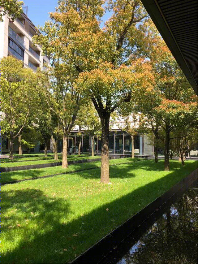 传统美学与现代演绎的惊艳家园-6