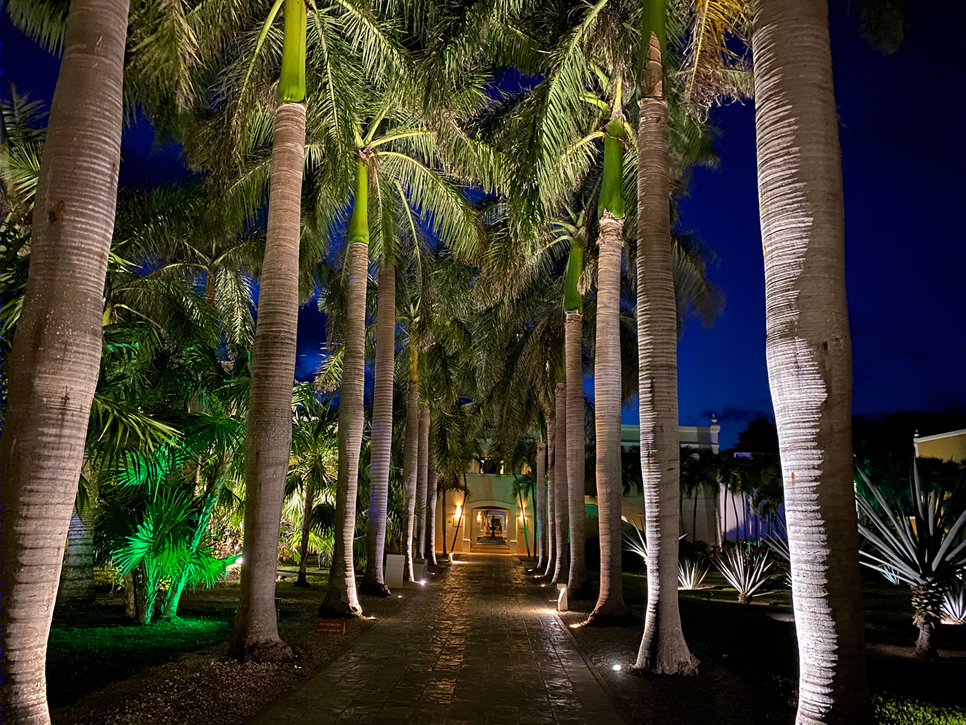 Dreams Tulum Resort & Spa-6