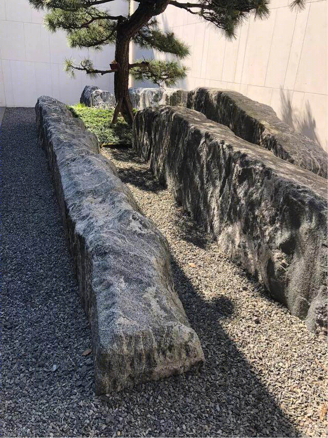 传统美学与现代演绎的惊艳家园-9