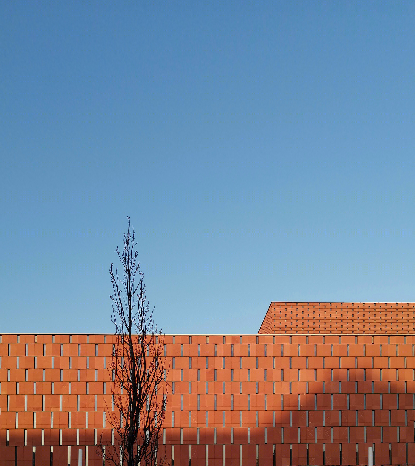 Minimal Photography-3