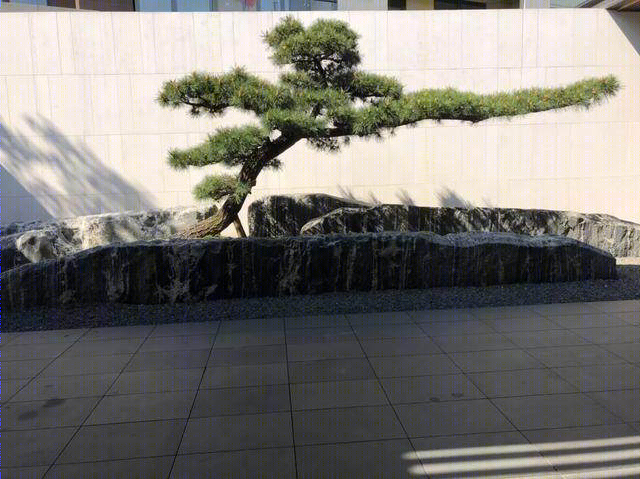 传统美学与现代演绎的惊艳家园-10