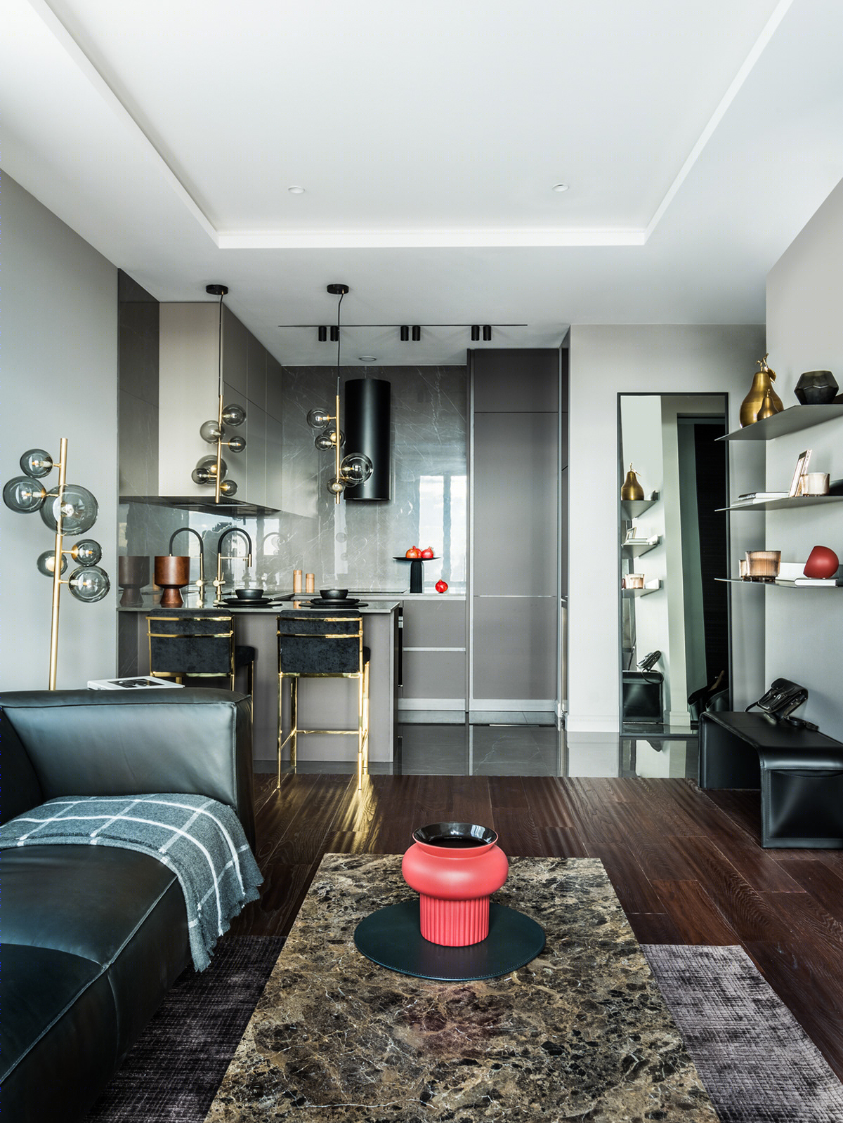 公寓50m2住宅的长老城-伊琳娜设计-1