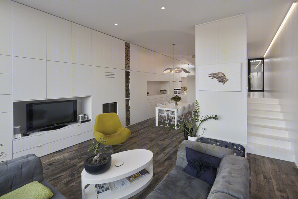 2015 年完工的“画布之屋”单家庭住宅室内设计案例-5