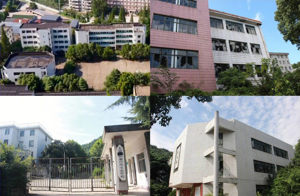 绍兴上虞龙山学校立面改造设计丨杭州木量建筑设计咨询有限公司-6