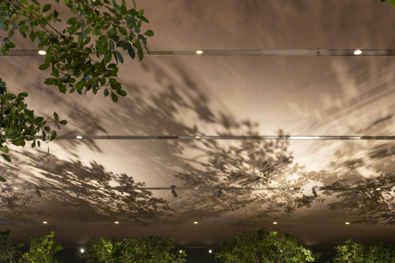 Apple Al Maryah Island 苹果旗舰店丨阿联酋阿布扎比丨Foster Partners 与 Apple 设计团队-27