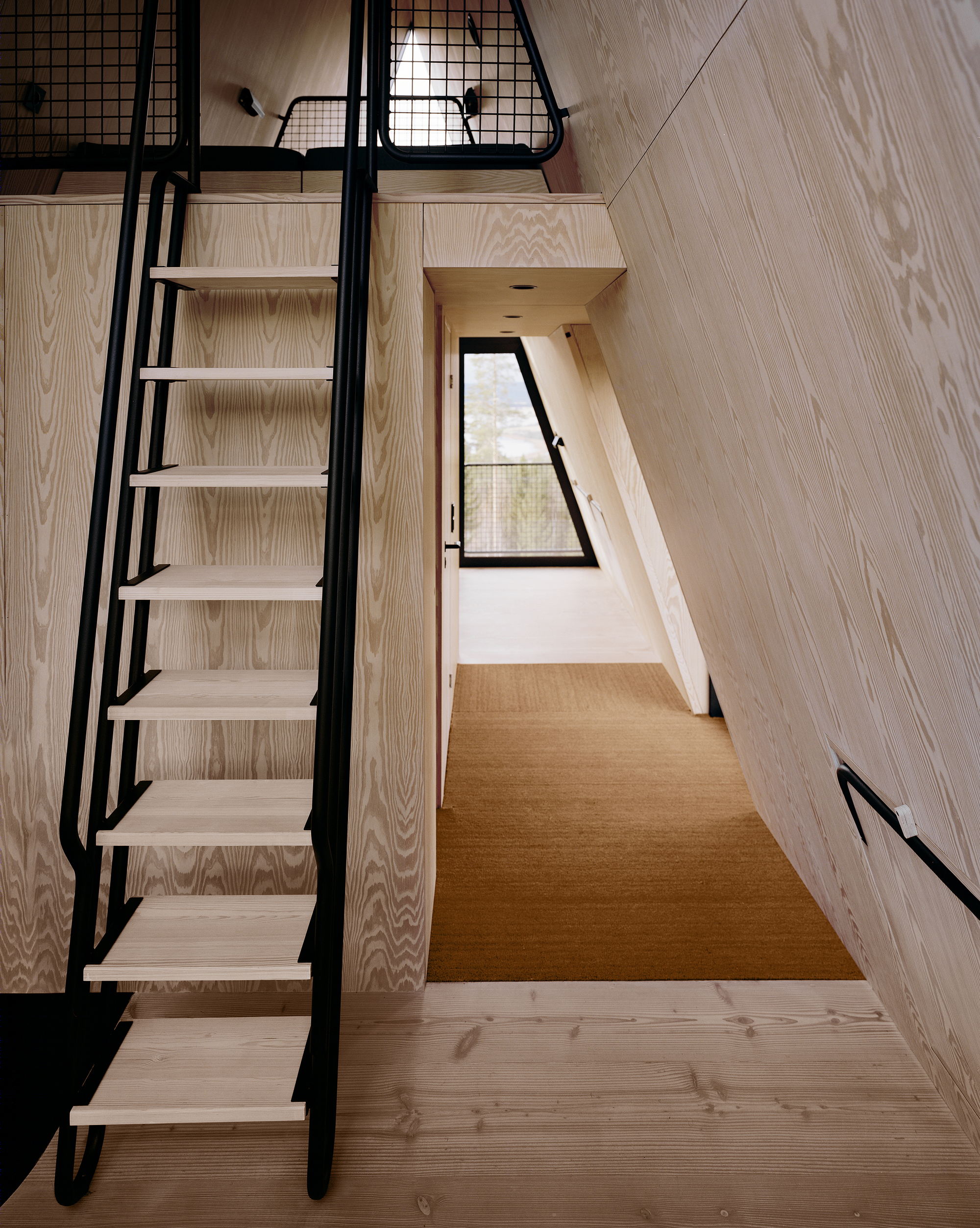 悬浮森林的神秘小屋-7
