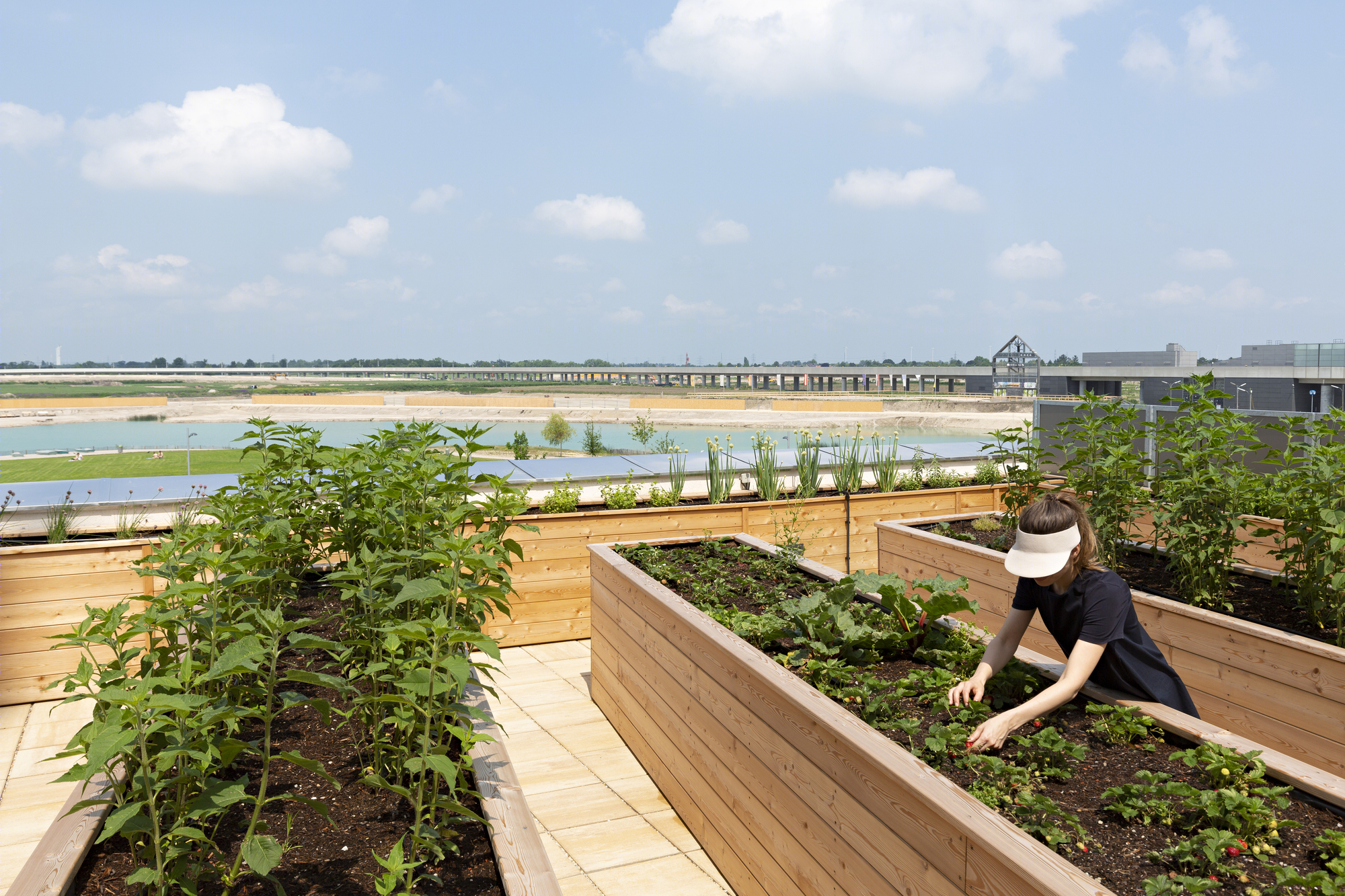 维也纳绿意盎然的城市花园公寓（The Living Garden project）-12